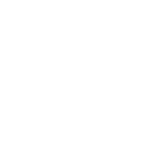 zahnarzt_mayer_kraft_implantate_zahnreinigung_bleaching_cerec_konz_icons_cerec